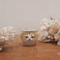 Shoko Matsuura 松浦唱子 Cat Cup SM05 #5