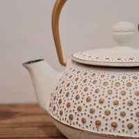 IWACHU Iron Teapot - White Gold - Dots Pattern