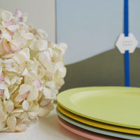 SAKUZAN Sara Gift H Set (4 Medium Oval Plates)