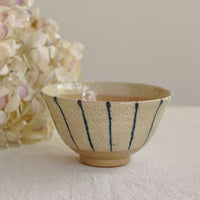 SAKUZAN Kairagi Jussou Stripe Large Rice Bowl