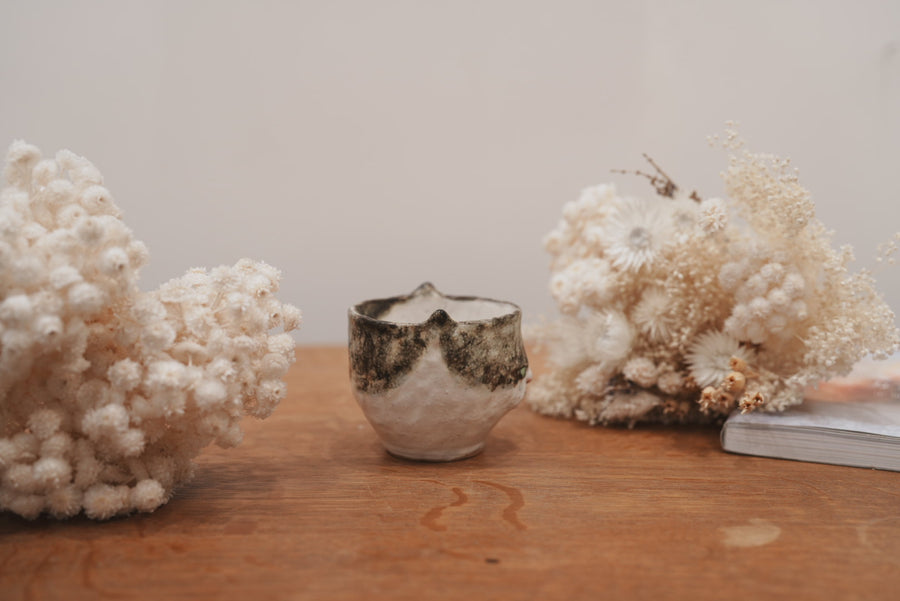 Shoko Matsuura 松浦唱子 Cat Cup SM05 #1