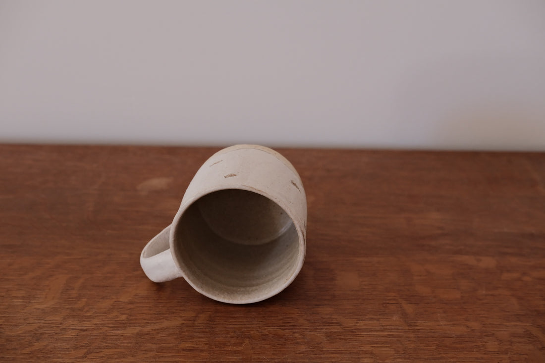 rutawarawajifu Coffee Mug - RA15