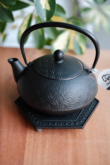 IWACHU Iron Kyusu Teapot