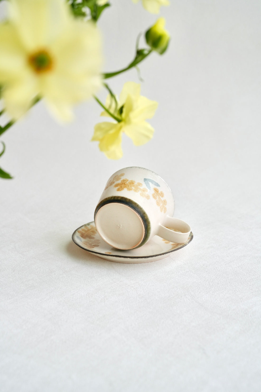 かとうようこ Yoko Kato Mimosa Collection