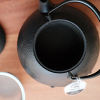 IWACHU Iron Kyusu Teapot