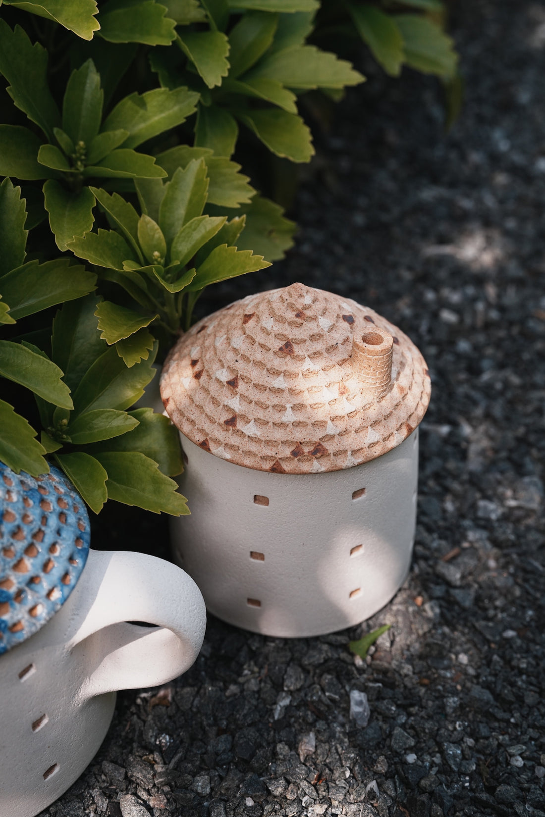 Forest Seed Pottery Ceramic Clay House Mug