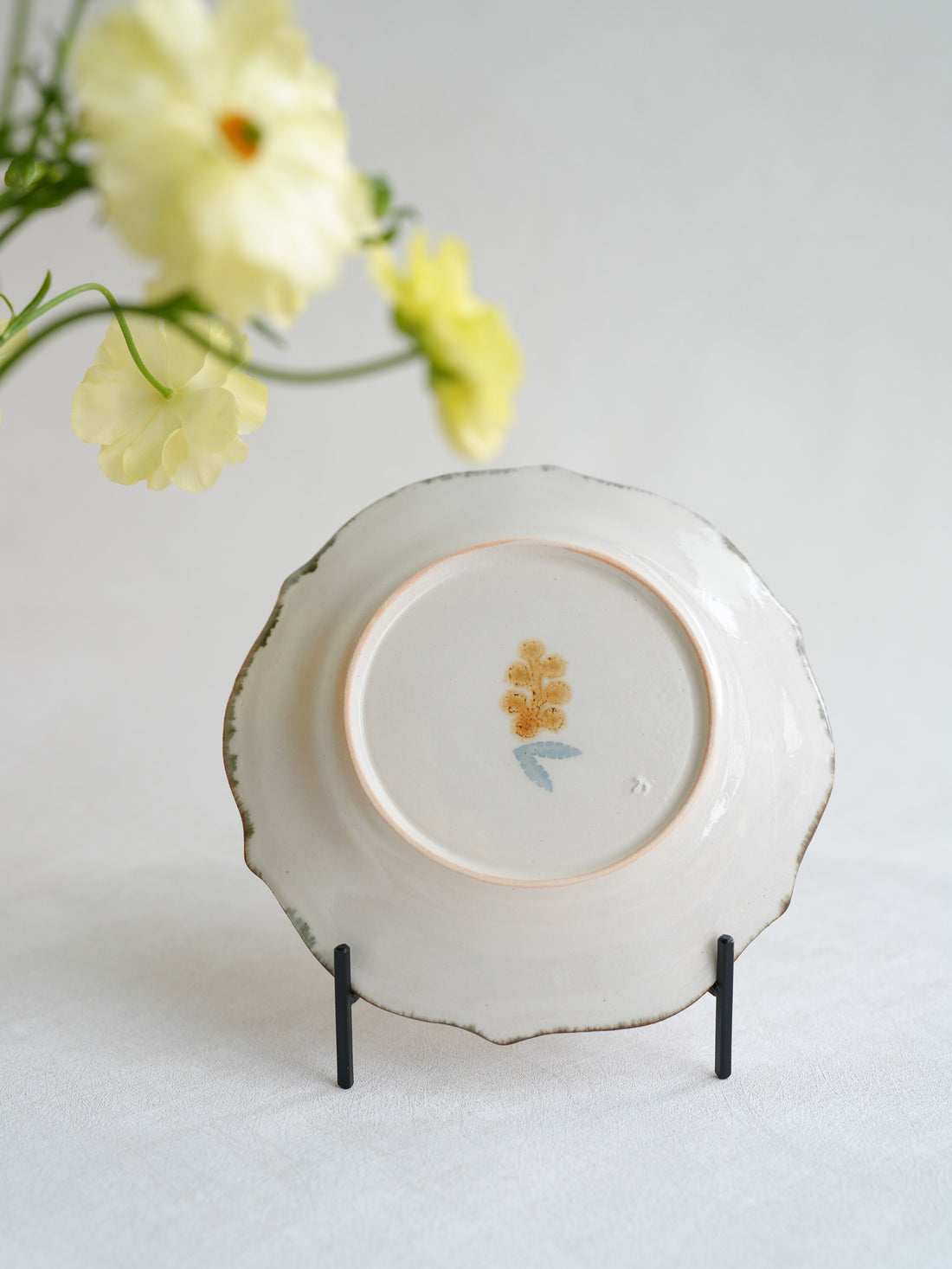 かとうようこ Yoko Kato Mimosa Collection