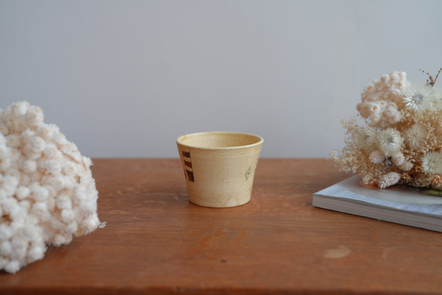 Shoko Hirano 平野照子 Cat Cup SR02 #2