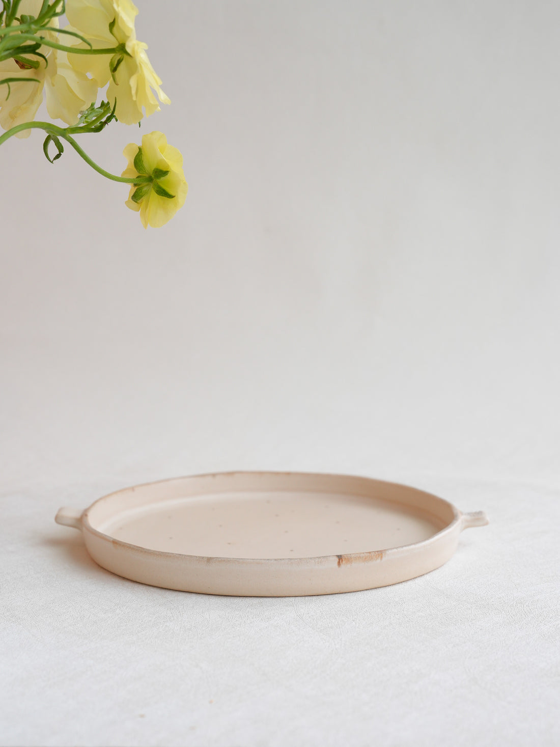 Misuzu Ishigami 石神美鈴 Animal Round Plate MIS15