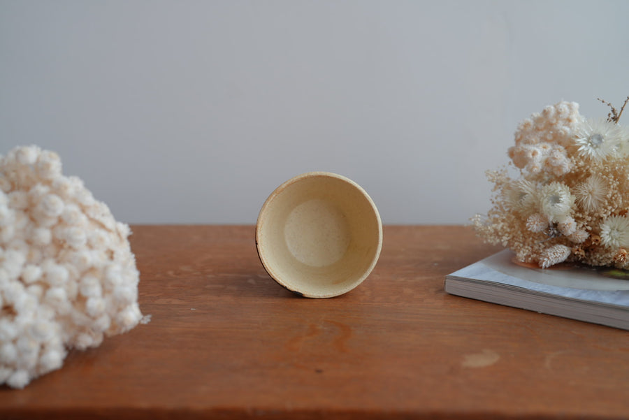 Shoko Hirano 平野照子 Cat Cup SR02 #6