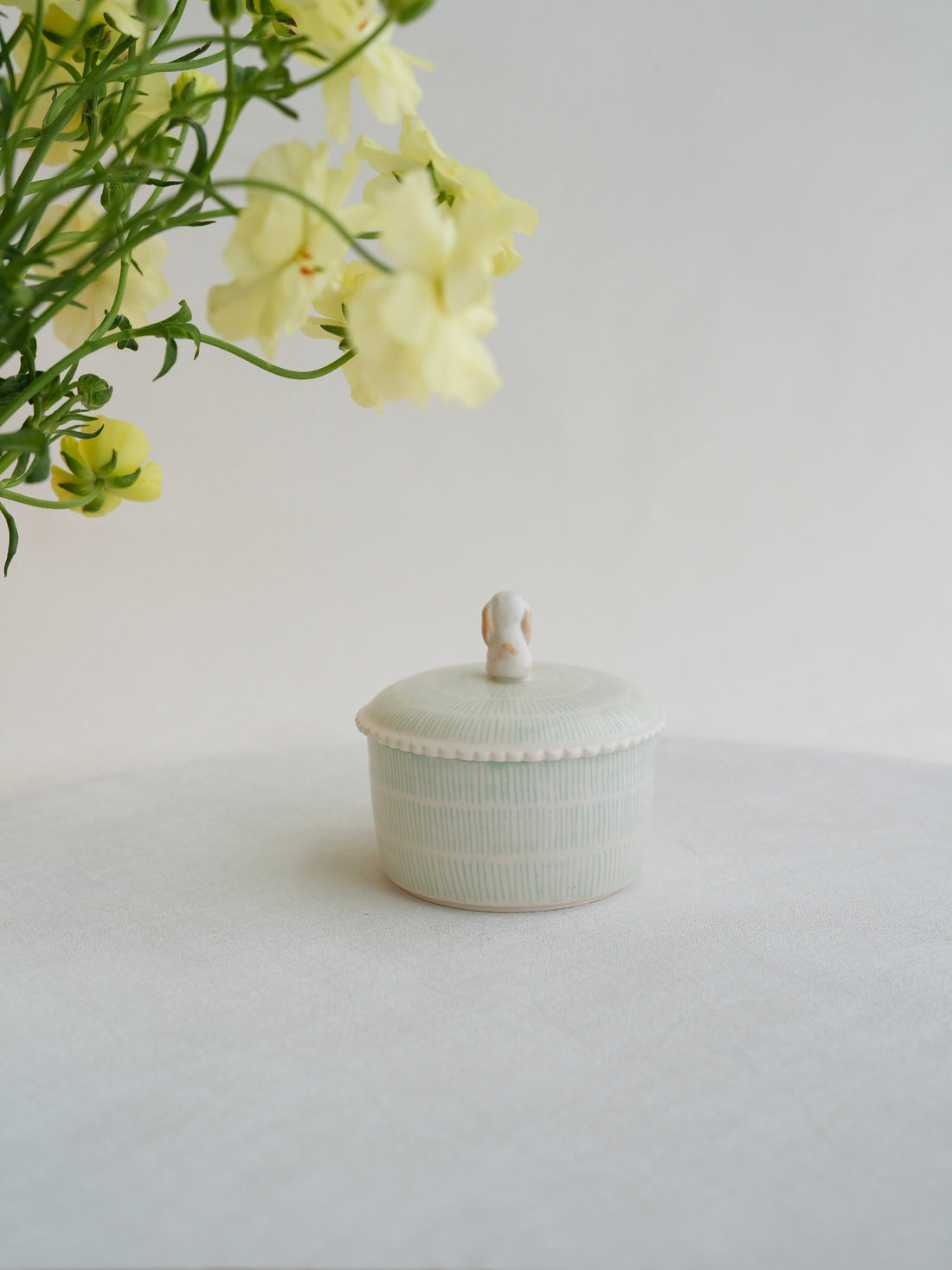 Notari - Animal Canister NO05