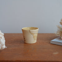 Shoko Hirano 平野照子 Cat Cup SR02 #7