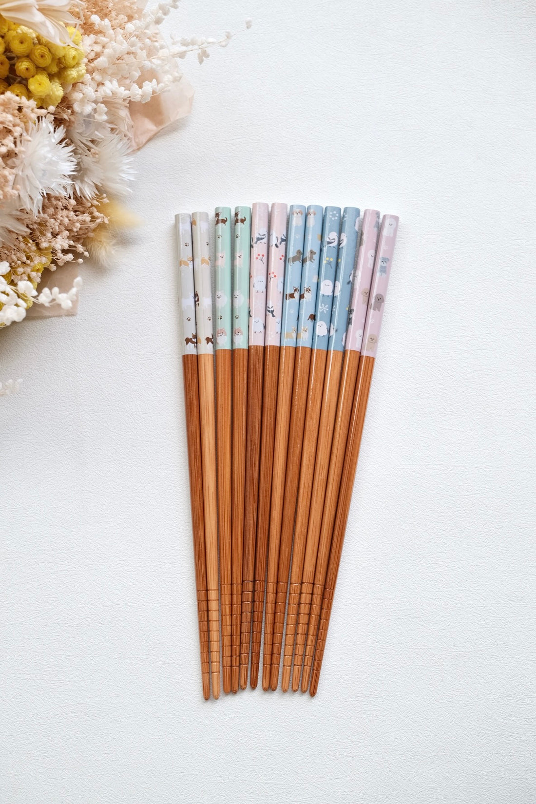 Japanese Chopstick Cute Animal Collection 22.5 cm