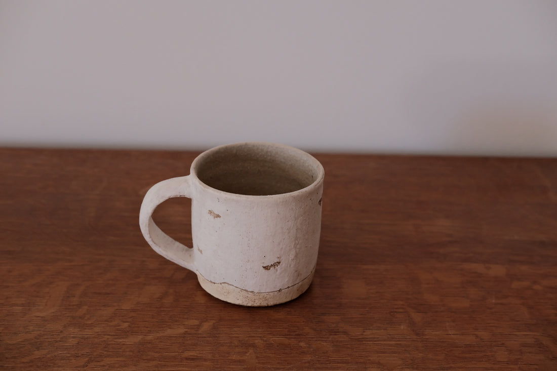 rutawarawajifu Coffee Mug - RA15