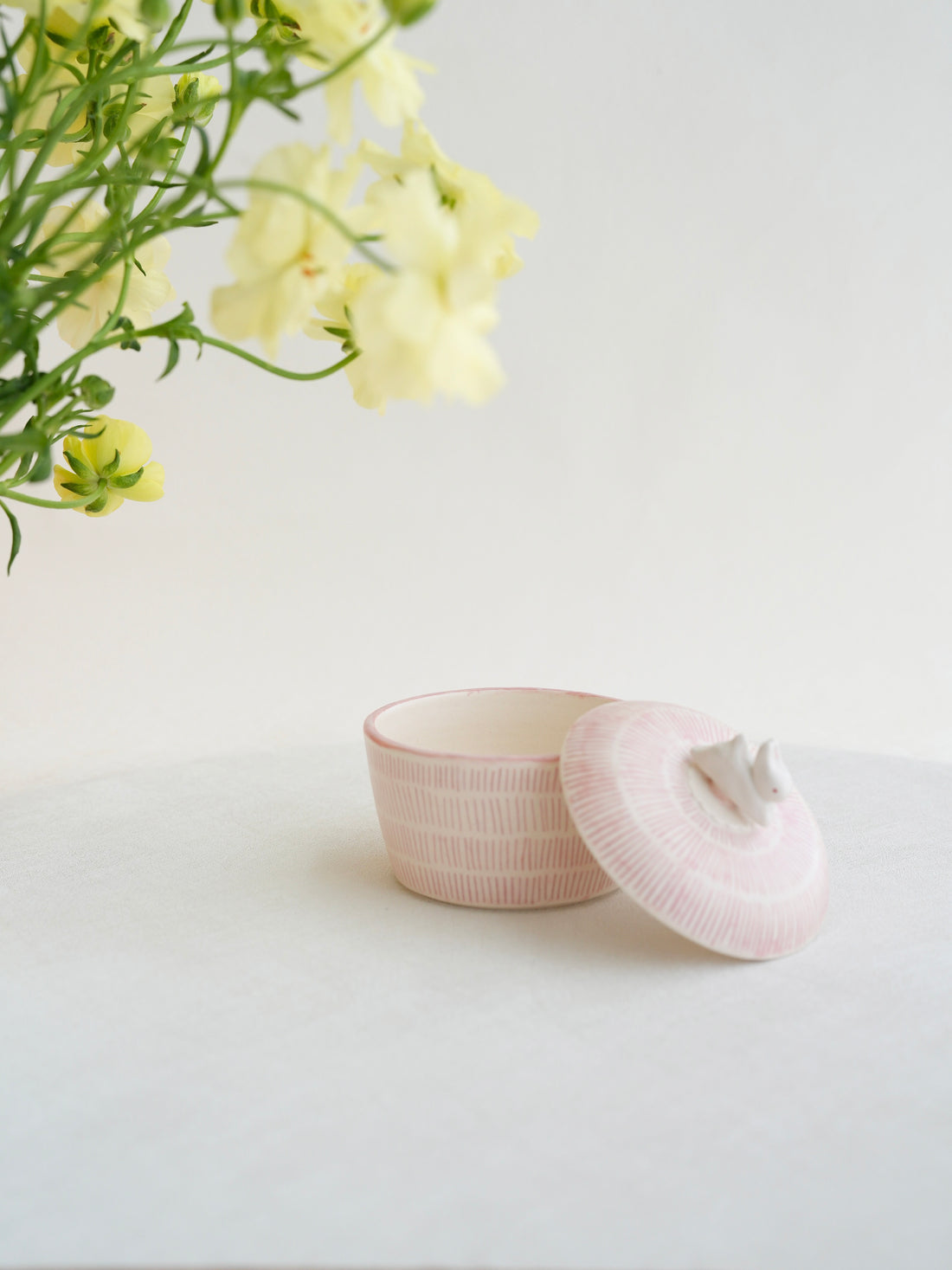 Notari - Animal Canister NO05