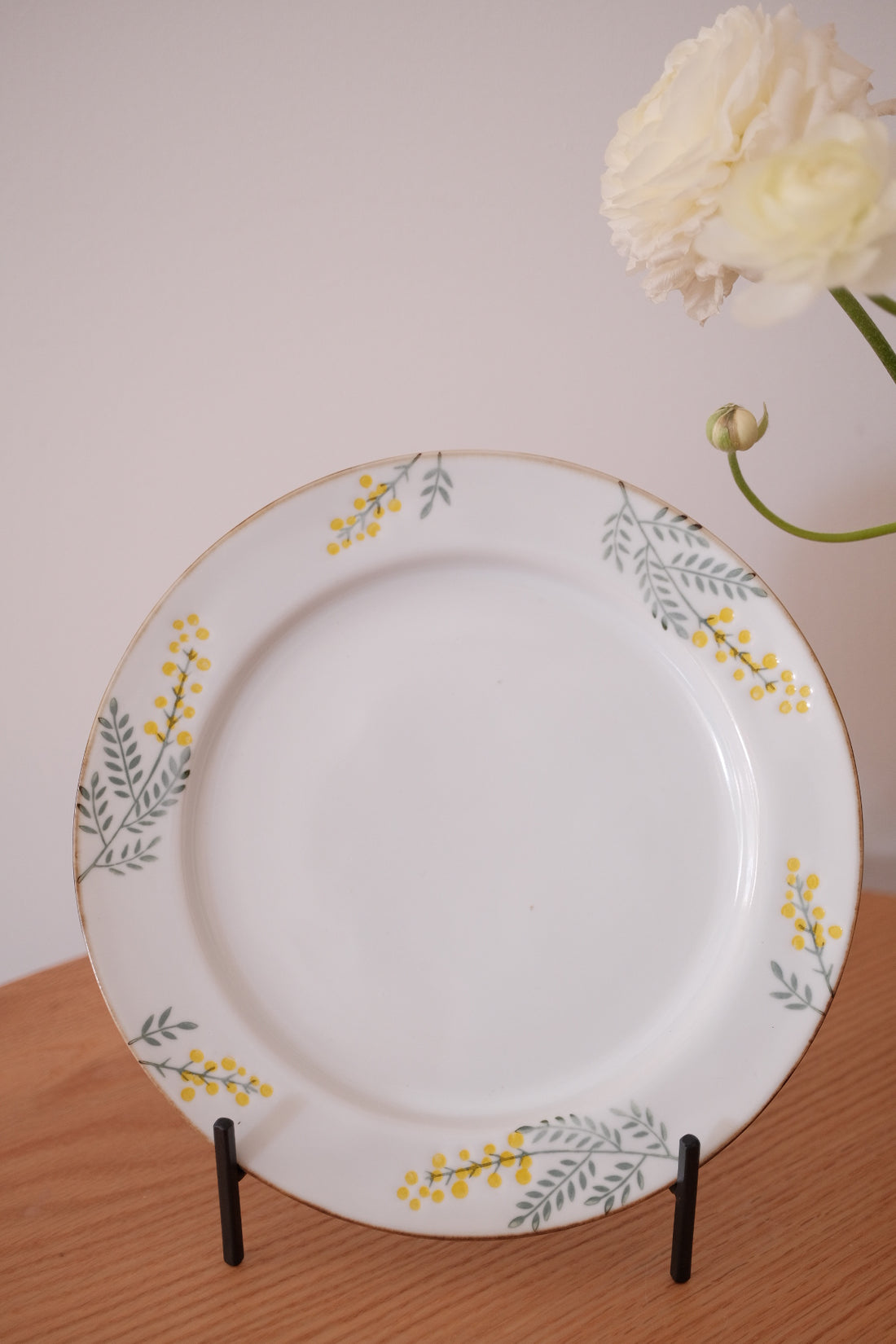 Mimosa Hasami Ware Dinnerware Collection