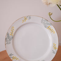 Mimosa Hasami Ware Dinnerware Collection