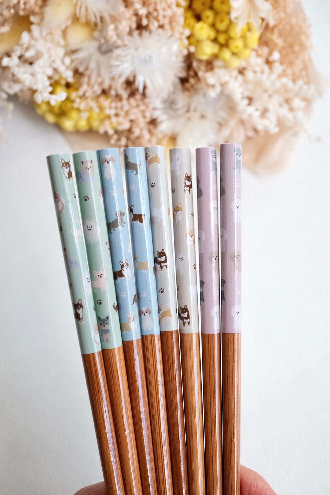Japanese Chopstick Cute Animal Collection 22.5 cm