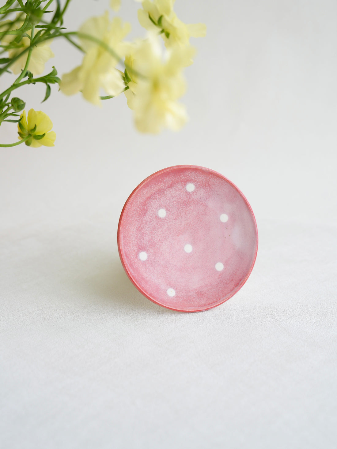 Notari - Mushroom Plate NO11