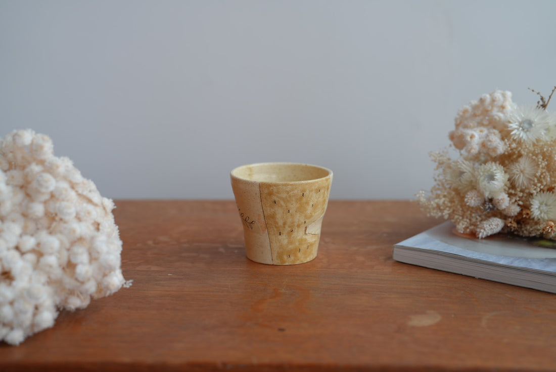 Shoko Hirano 平野照子 Cat Cup SR02 #11