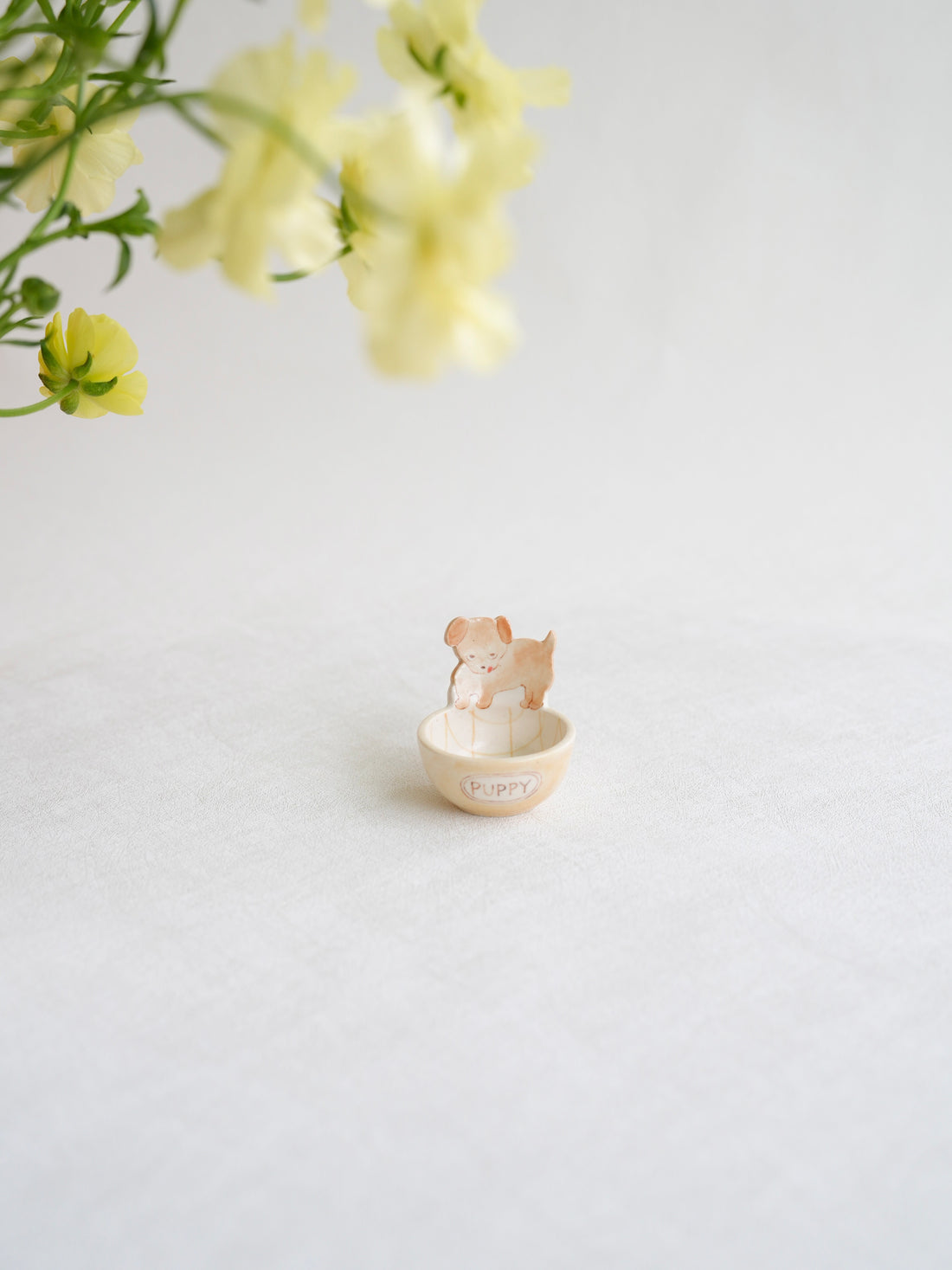 Notari - Coffee Spoon NO06