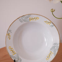 Mimosa Hasami Ware Dinnerware Collection