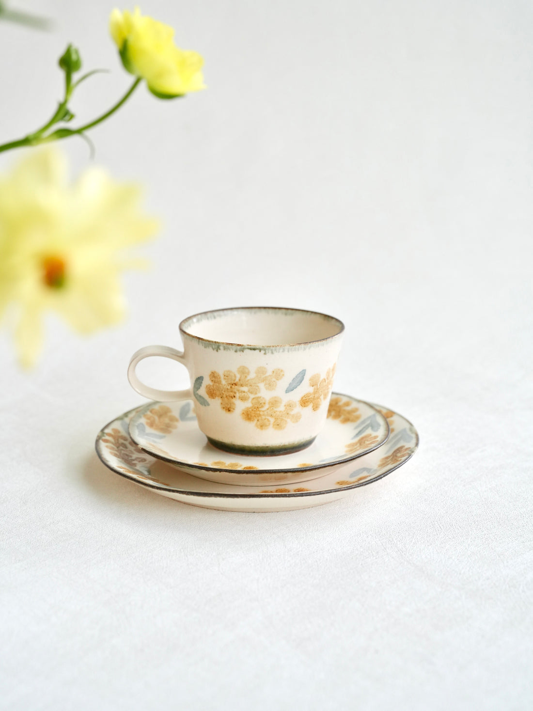 かとうようこ Yoko Kato Mimosa Collection