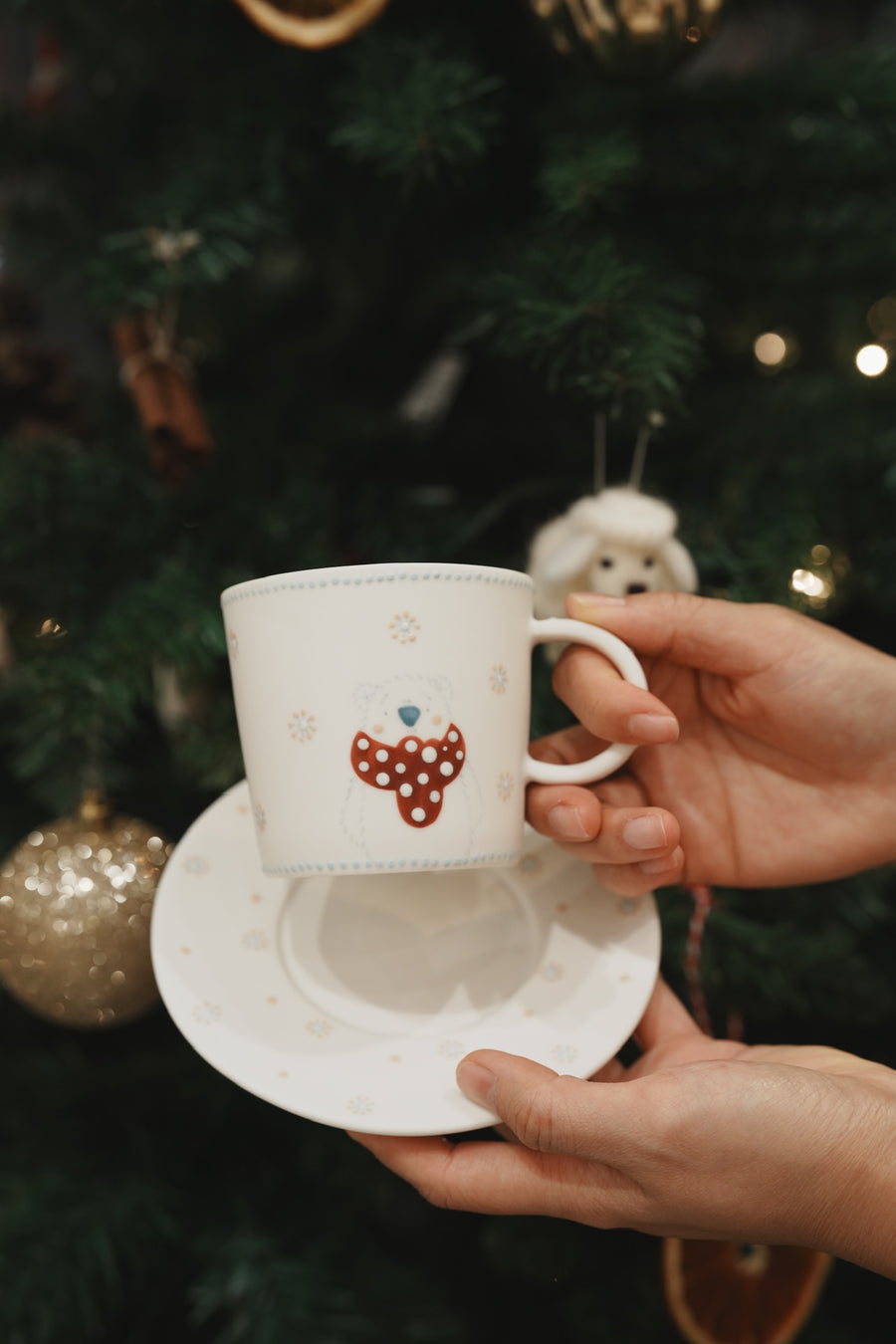 Yochi Cups 2025 Christmas Gift Box - Set C