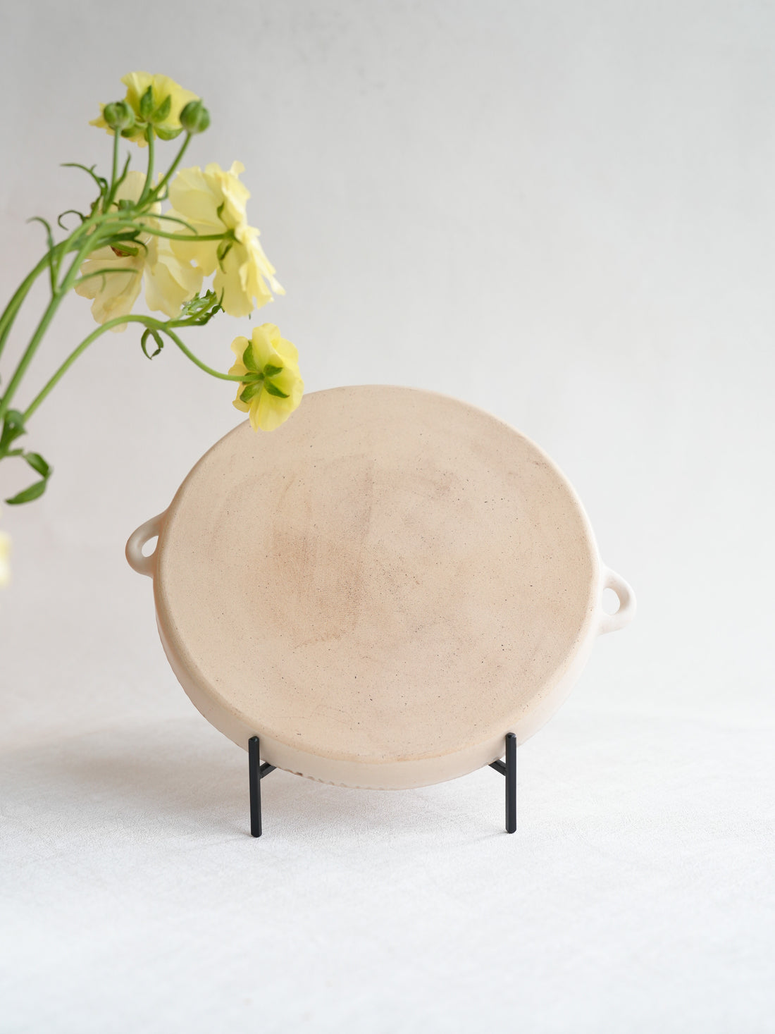 Misuzu Ishigami 石神美鈴 Animal Round Plate MIS15