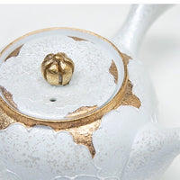 Arita Ware Tea Set Teapot & Teacups - Gift Box