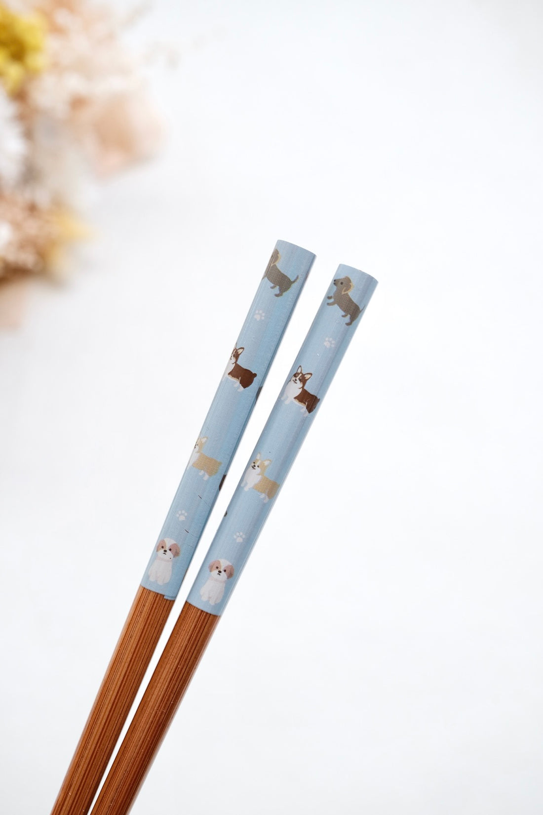 Japanese Chopstick Cute Animal Collection 22.5 cm