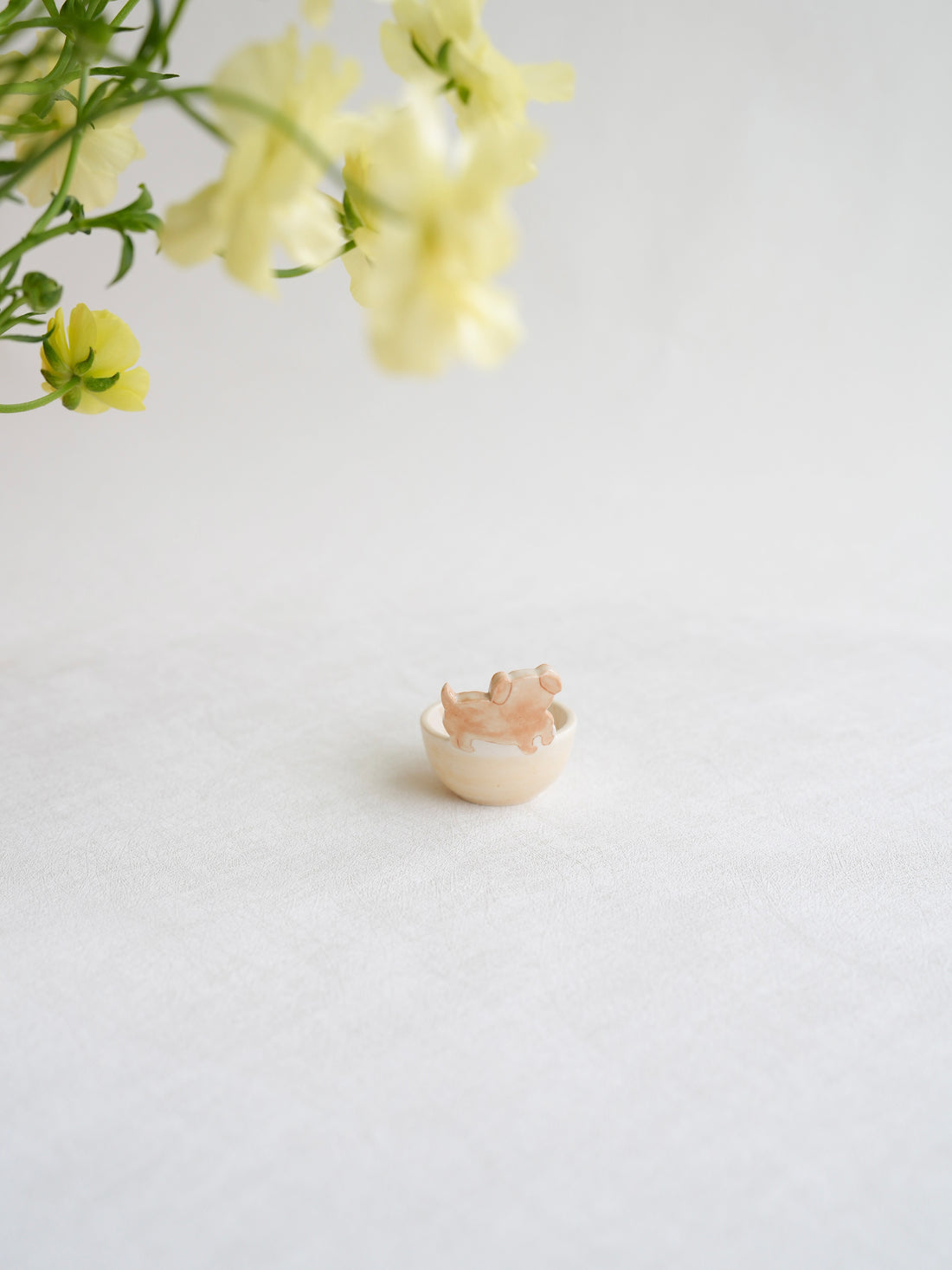 Notari - Coffee Spoon NO06