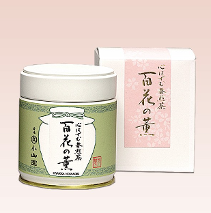 Spring Sencha 百花の薫 40g/can Pre-order