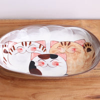 Hasami Arita ware Friendly Cat Curry Plates Oval Cat