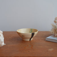 Shoko Hirano 平野照子 Cat Rice Bowl SR08 #6