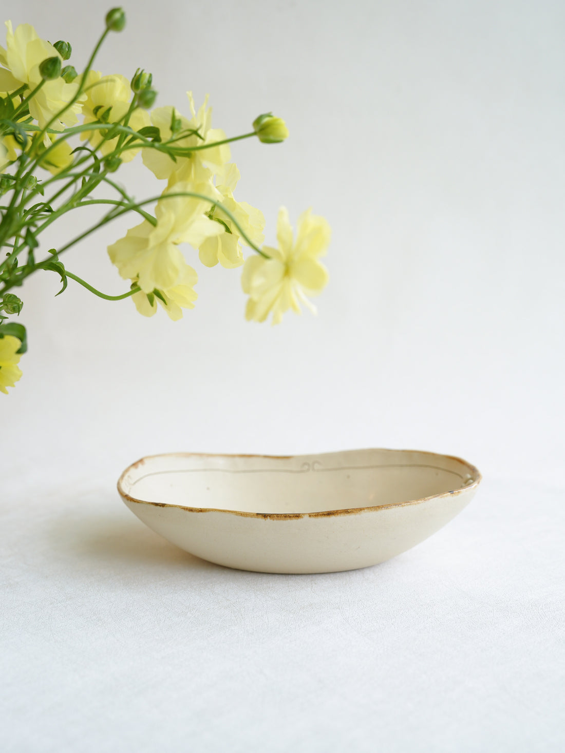 Misuzu Ishigami 石神美鈴 Large Animal Oval Plate MIS06