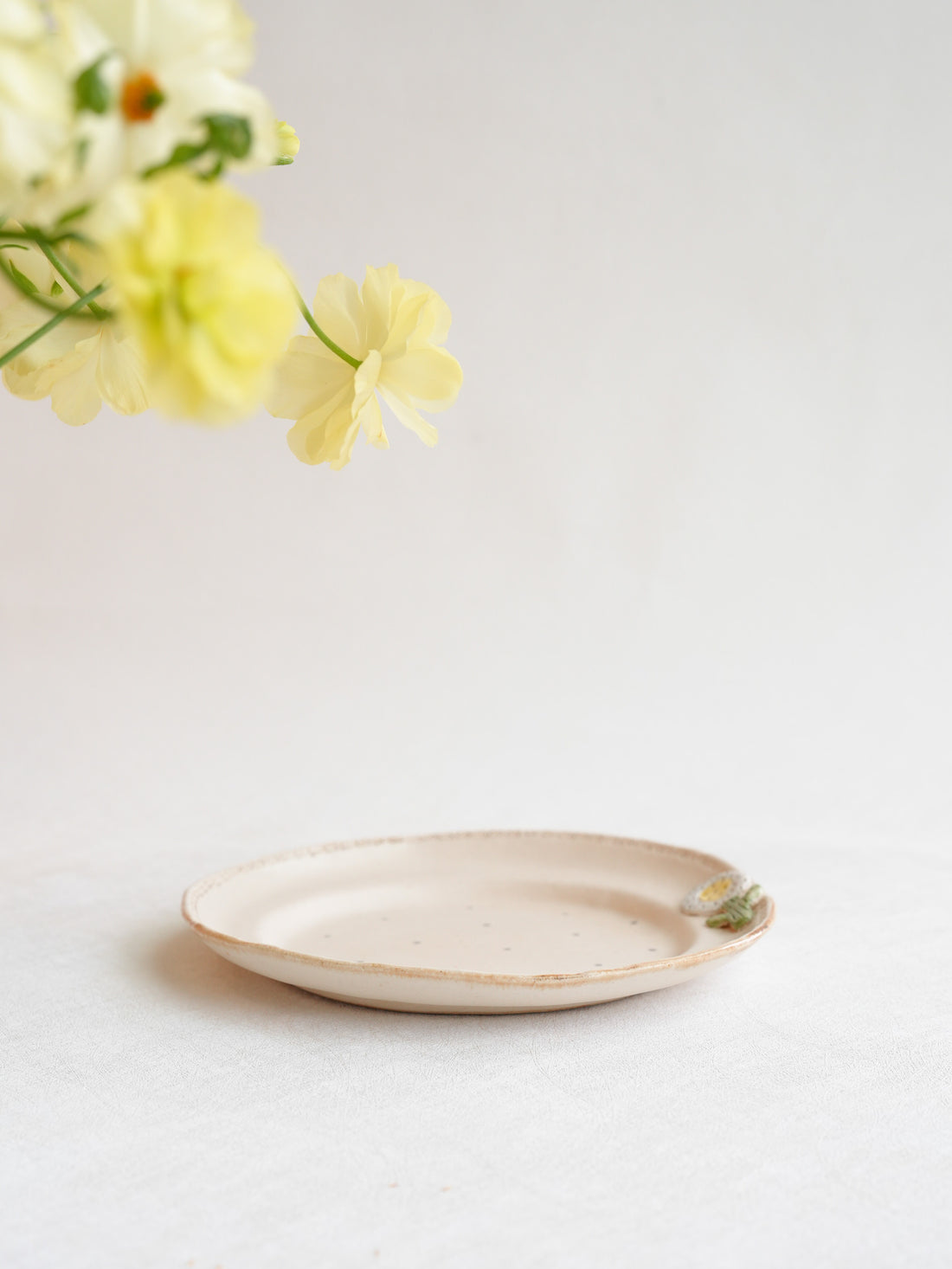Misuzu Ishigami 石神美鈴 Animal Deco Plate MIS39
