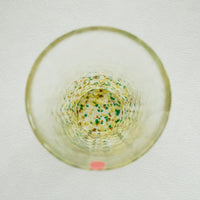 Tsugaru Vidro Japanese Colors Tumbler