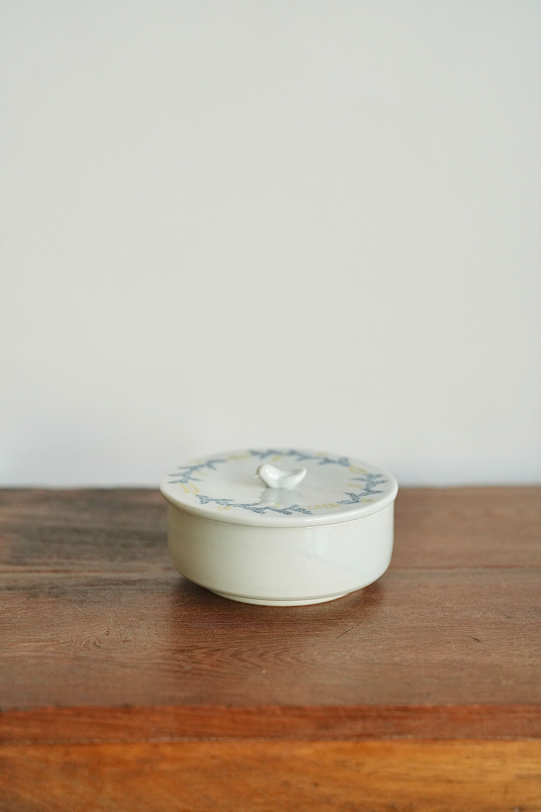 Maya Inamura 稲村真耶 Mimosa Canister MI12