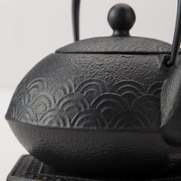 IWACHU Iron Kyusu Teapot