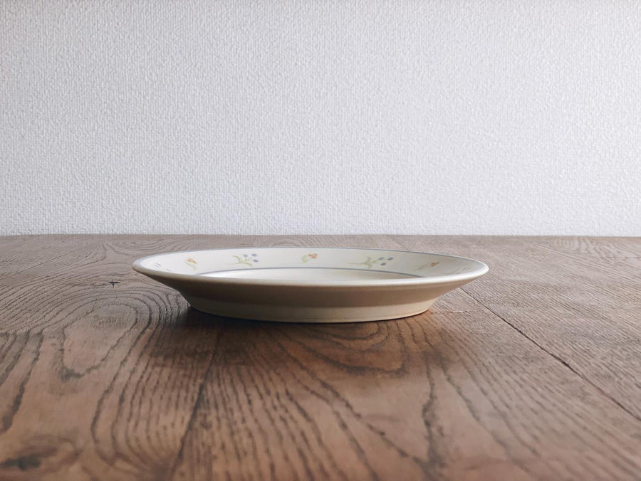 Buncho Pottery 7寸/St. Bernard and flower pasta dish