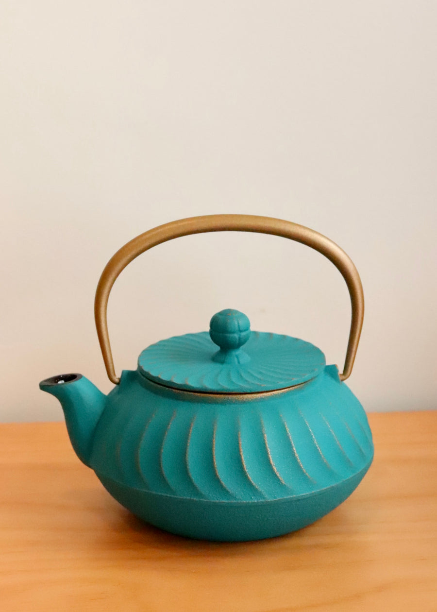 Iwachu Japanese Cast Iron Tea Pot