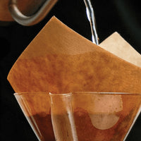CHEMEX Unbleached Filter Squares (100-Pack)